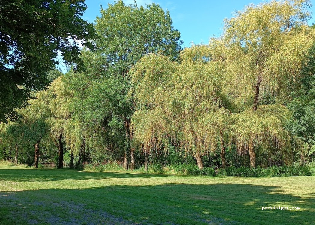 (85590) Saint-Malô-du-Bois - 4 Poupet — foto 2