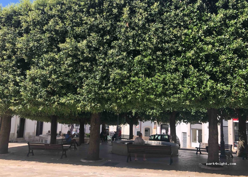 (70011) Alberobello - 15A Via Fausto Arturo Cucci — foto 3