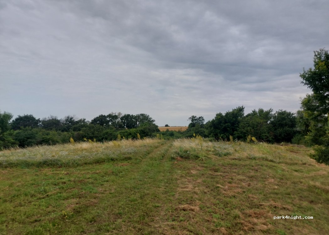 (7673) Kővágószőlős - Unnamed Road — foto 3