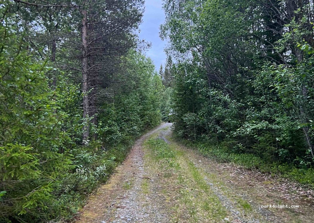 (840 93) Hede - Unnamed Road — foto 4