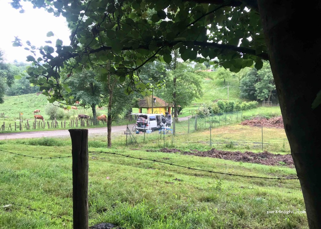 (28010) Miasino - Unnamed Road — foto
