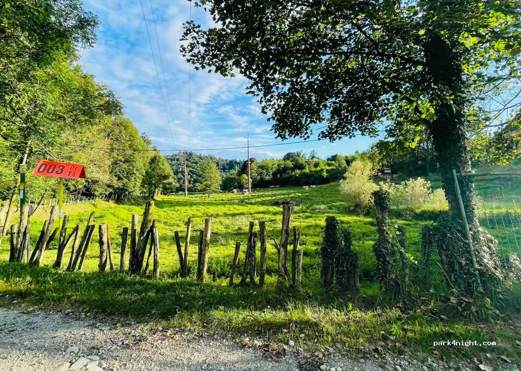 (28010) Miasino - Unnamed Road — foto 3