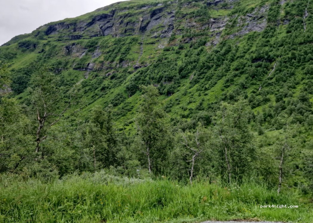 () Myrkdalen - 996 Rv13 — foto 3
