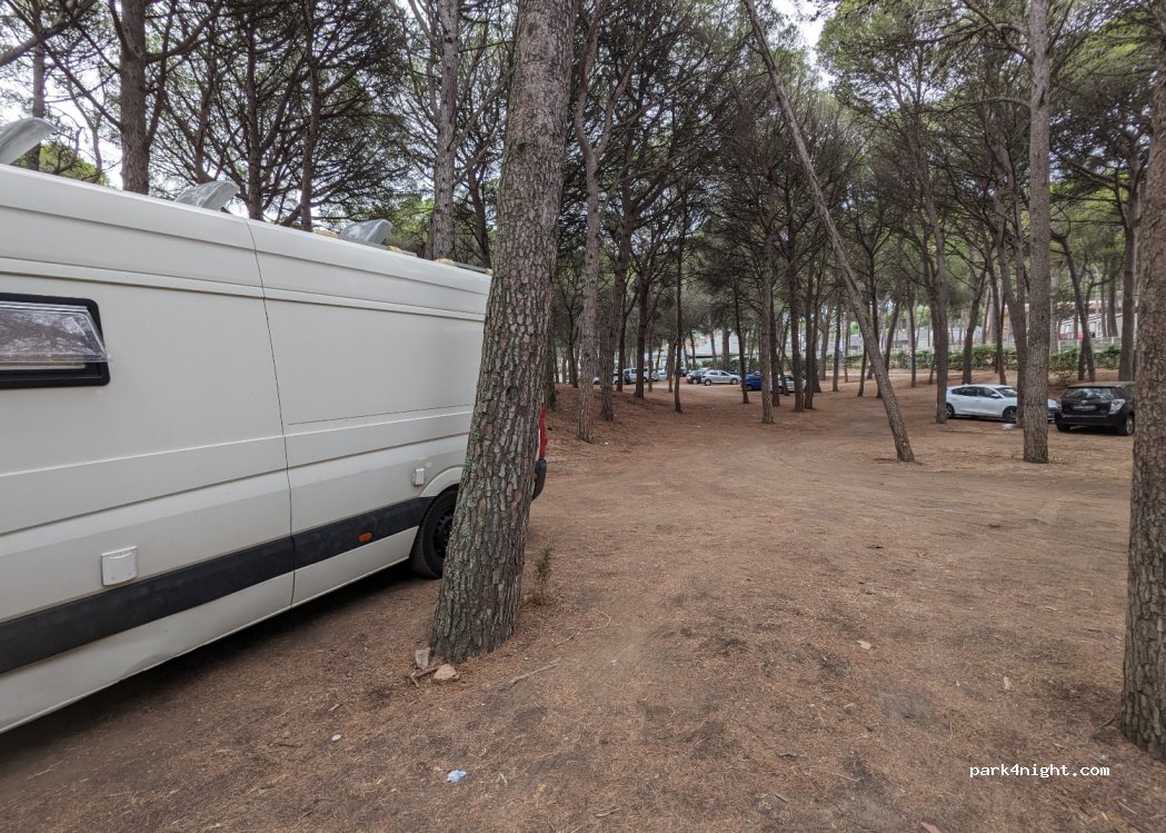 (17256) Pals - 219 Plaça Pals Mar — foto