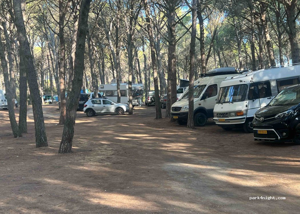 (17256) Pals - 219 Plaça Pals Mar — foto 4