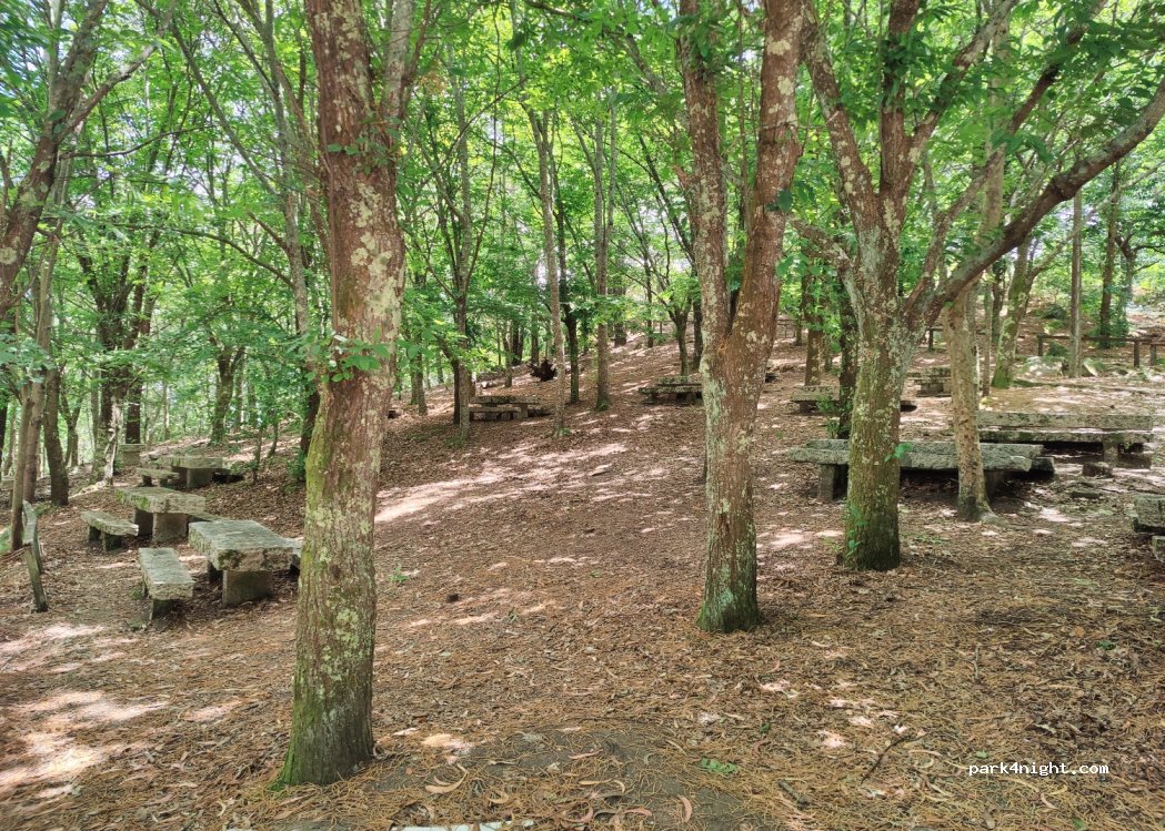 (36949) Cangas - Rúa do Balcón do Rei — foto