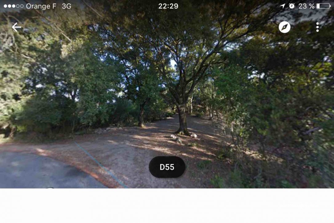(20166) Pietrosella - D55 — foto
