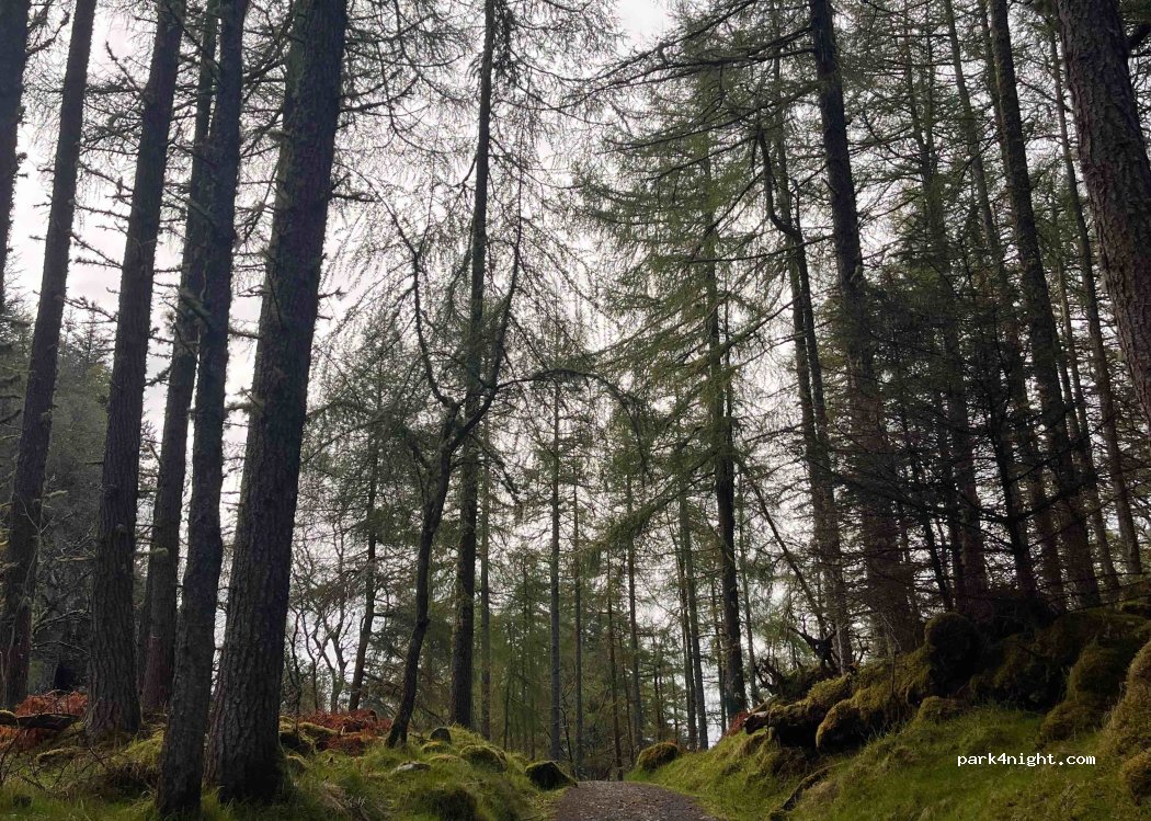 (IV27) Lochinver - Unnamed Road — foto 5
