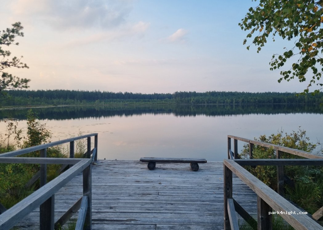 (4631) Teirumnīki - — foto 3