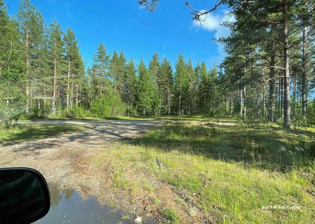 (842 92) Sveg - 151 LÅNGSKOGEN — foto