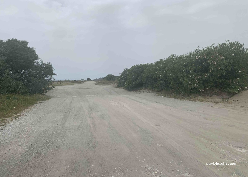 (88040) Gizzeria Lido - Unnamed Road — foto 4