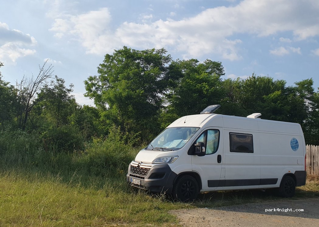 (217425) Scoarța - — foto