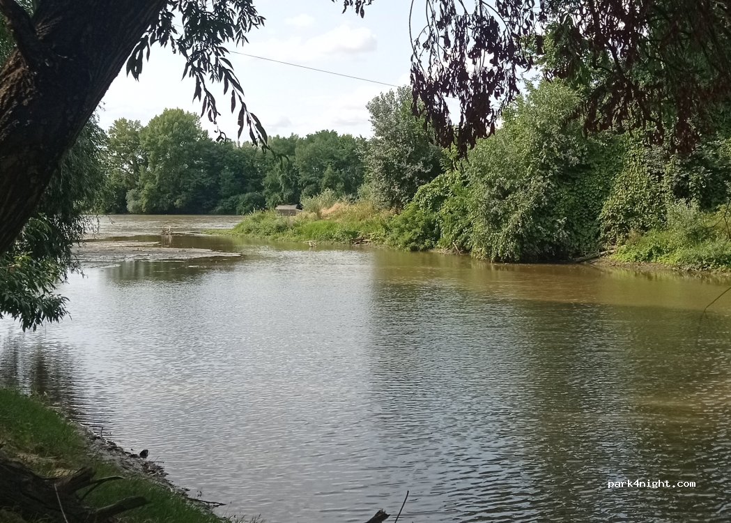 (307386) Igriș - — foto 2