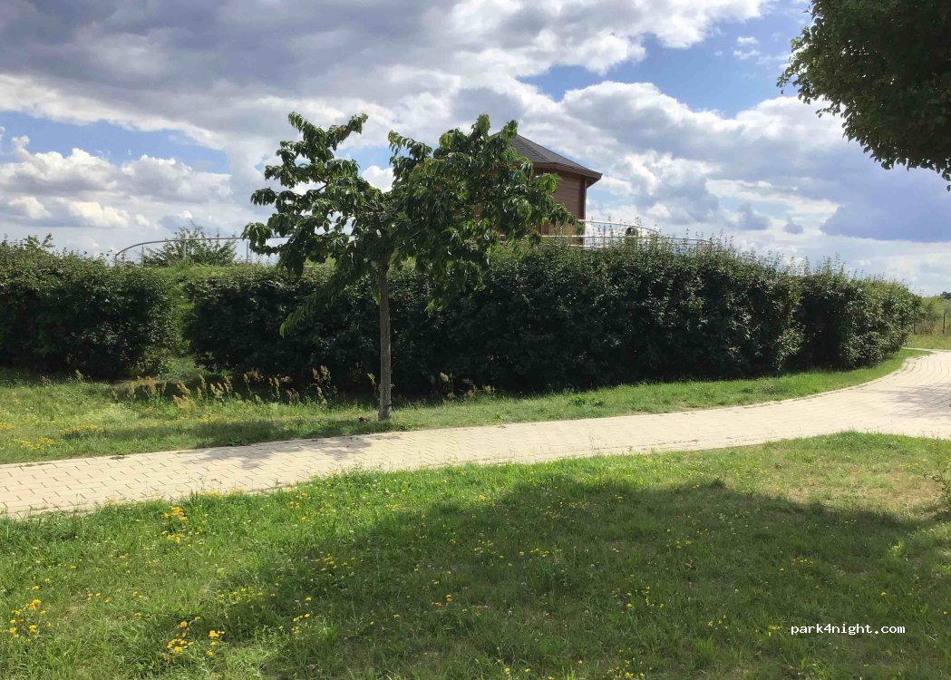 (16244) Schorfheide - 1 A11 — foto 2