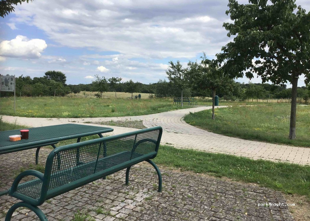 (16244) Schorfheide - 1 A11 — foto 3