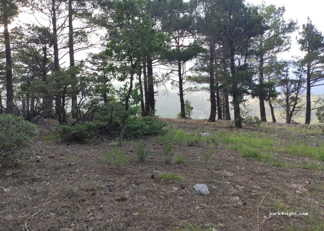 (01472) Eskikonacık - — foto