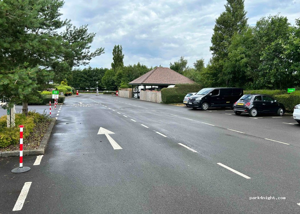 New Forest Caravan and Motorhome Club Centenary Campsite — foto 2