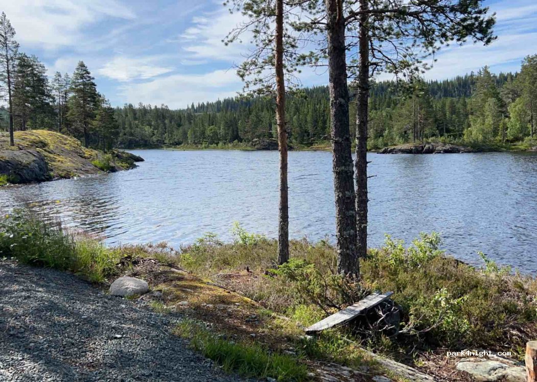 (3891) Høydalsmo - E134 — foto