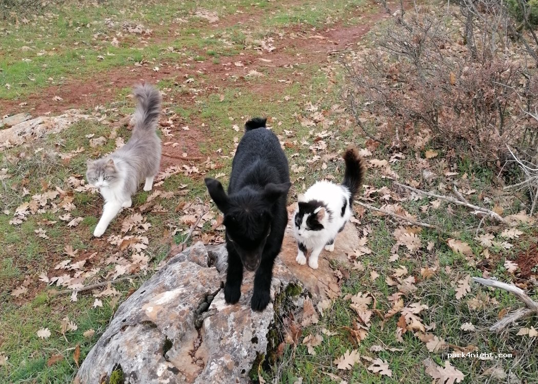 Matka Farm — foto 4
