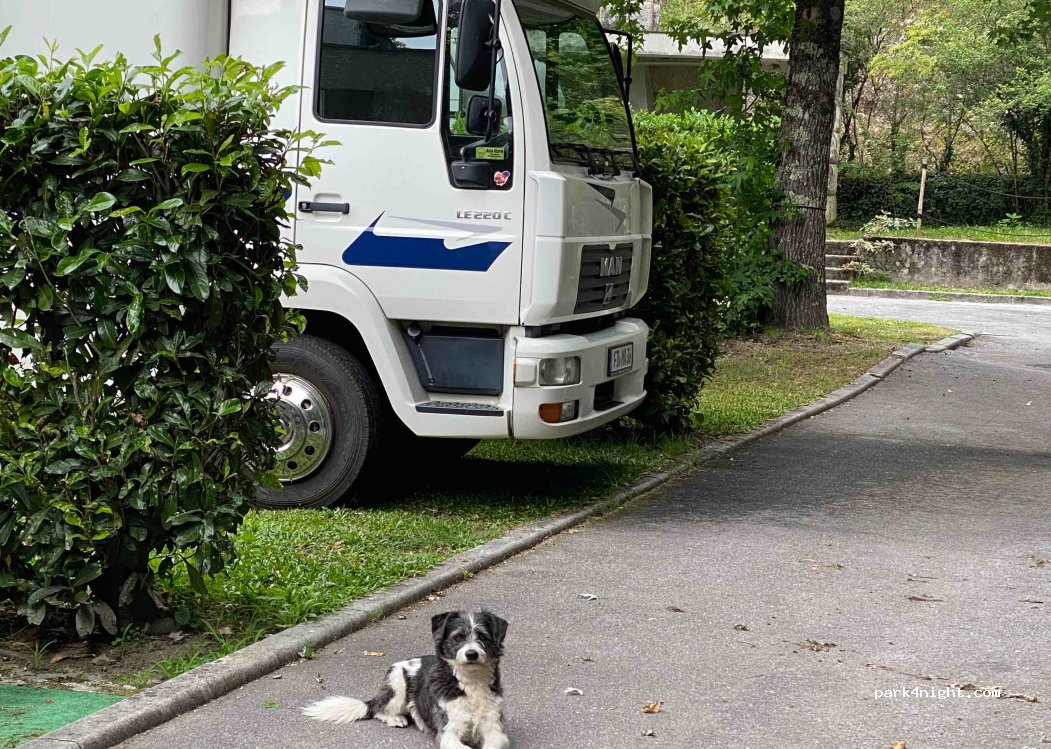 Foxtrot Adventure — foto 3