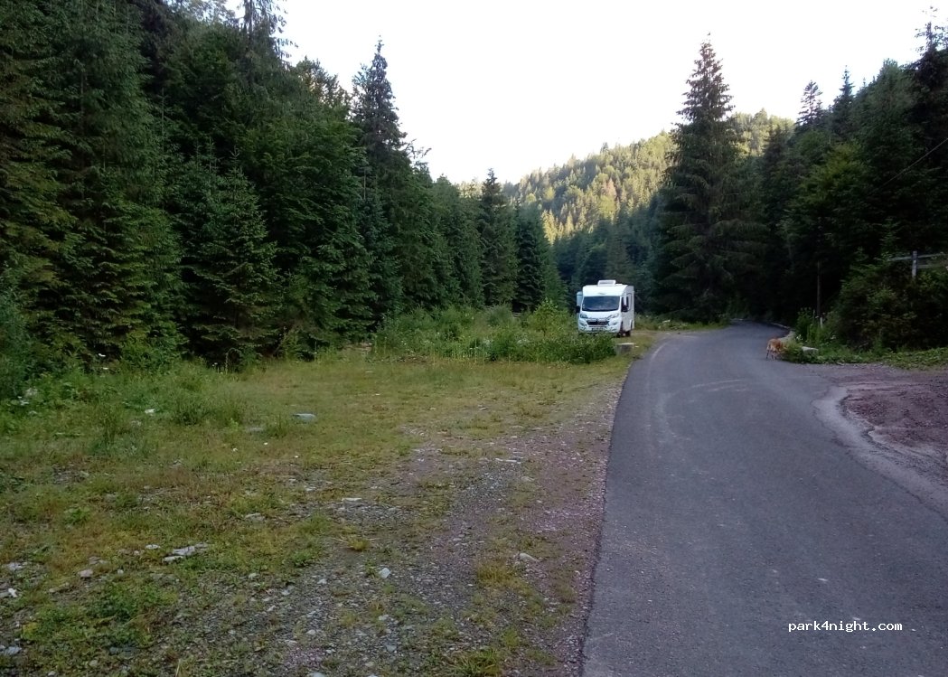 (517044) Cobleș - — foto