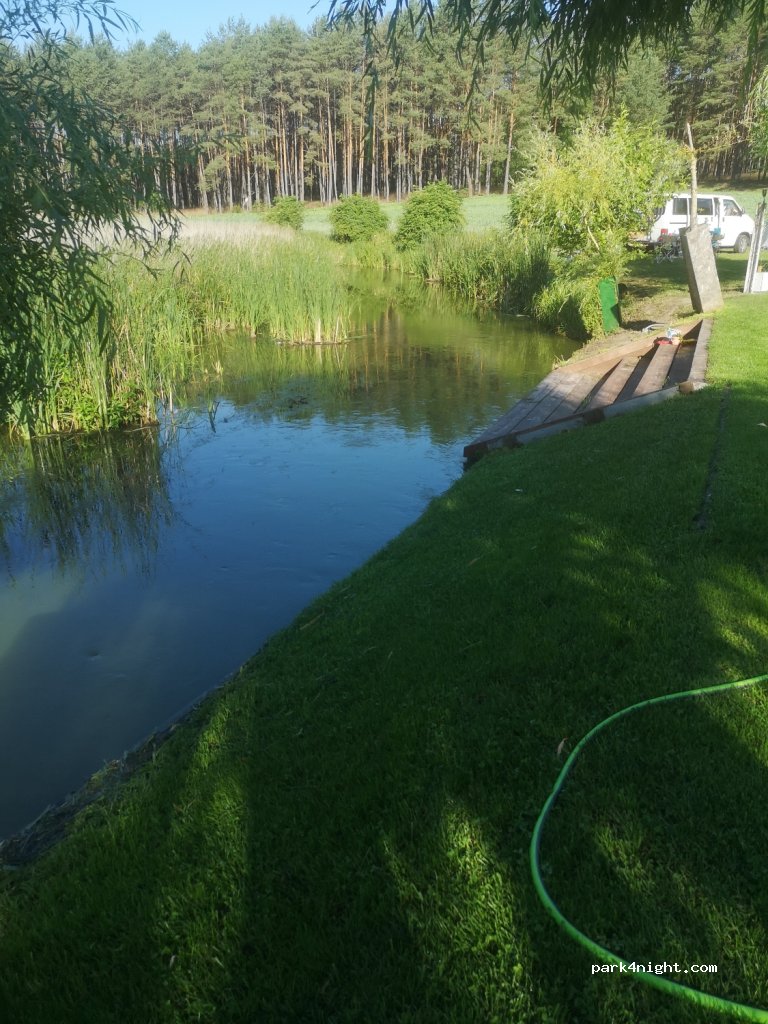 Przystań kajakowa Kotwica — foto 4