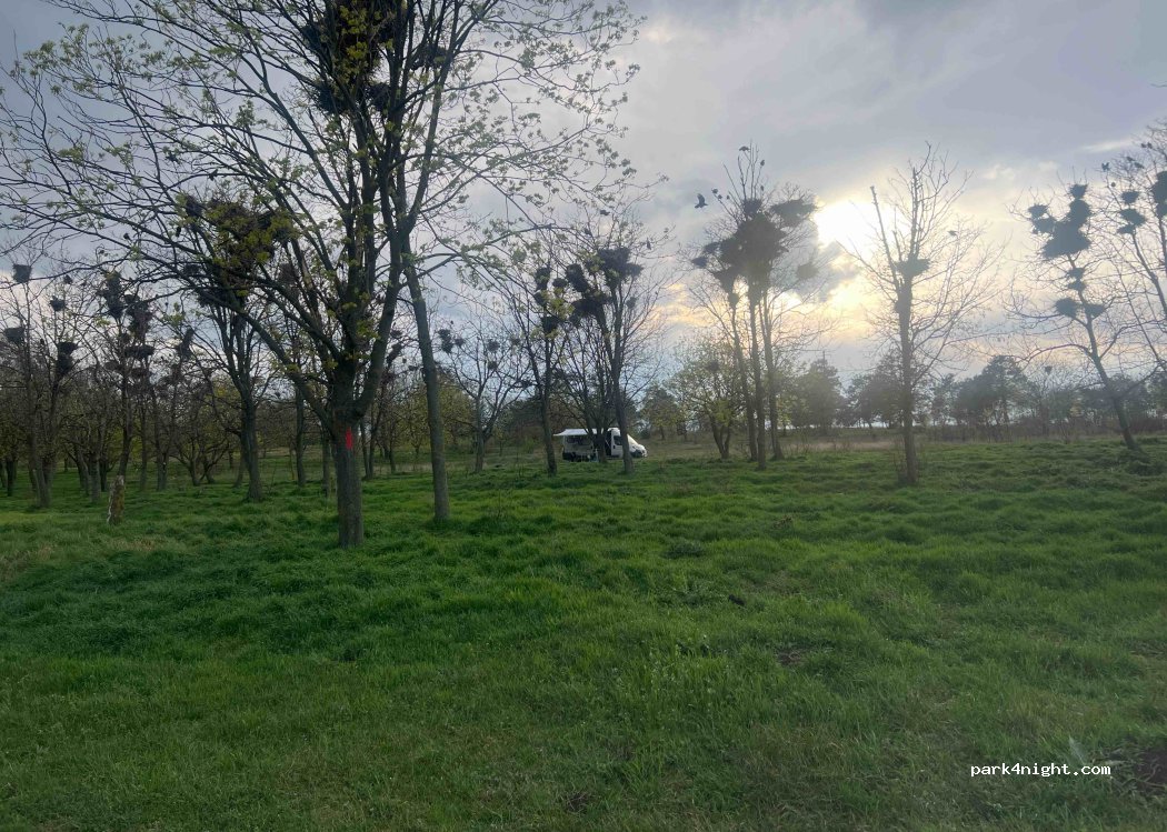 (MD-7414) Balabanu - — foto 4