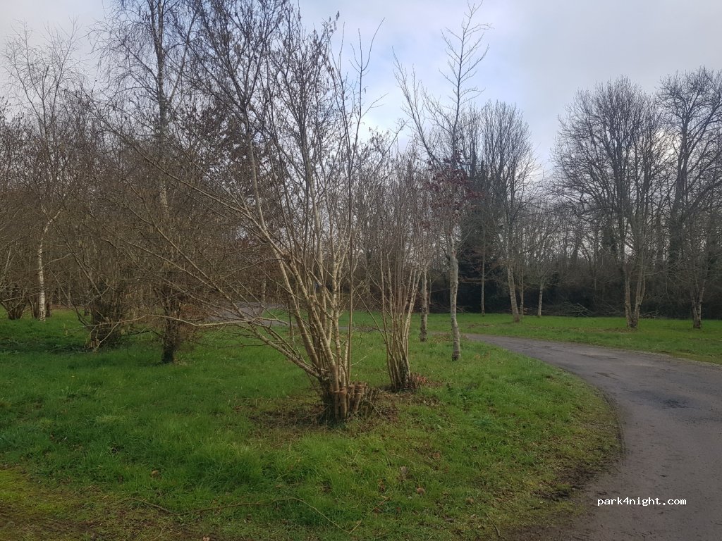 (29920) Névez - 7 Le Petit Henant — foto 3