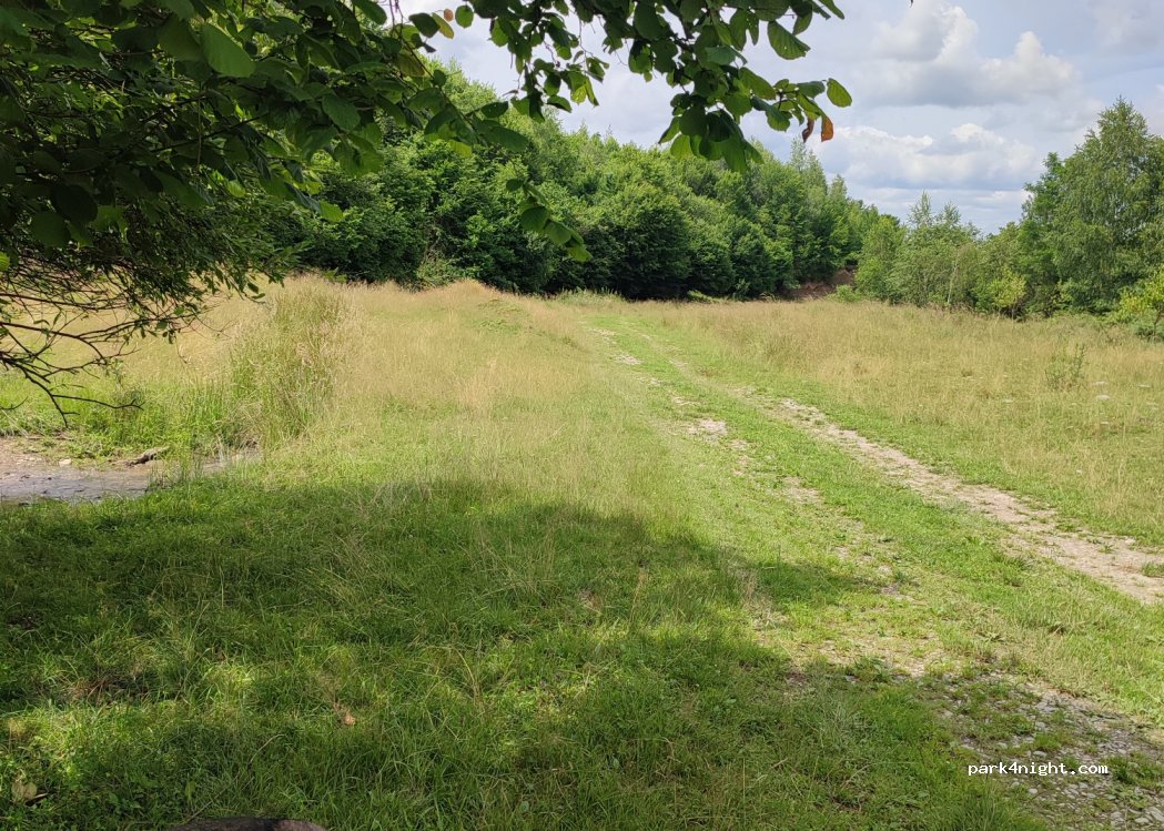 (507257) Viștișoara - Unnamed Road — foto 3