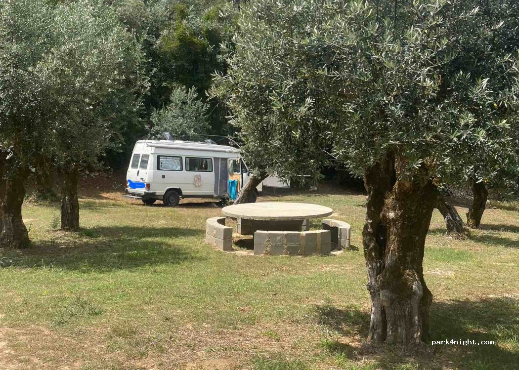 (2495) Leiria - Unnamed Road — foto