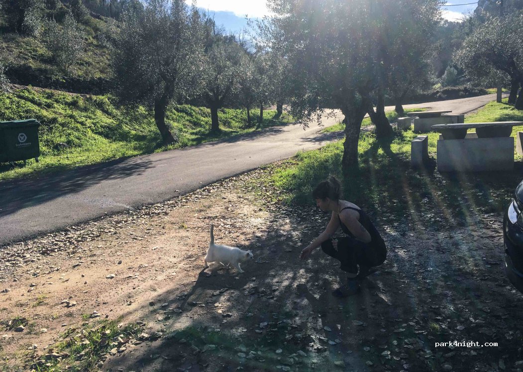 (2495) Leiria - Unnamed Road — foto 4