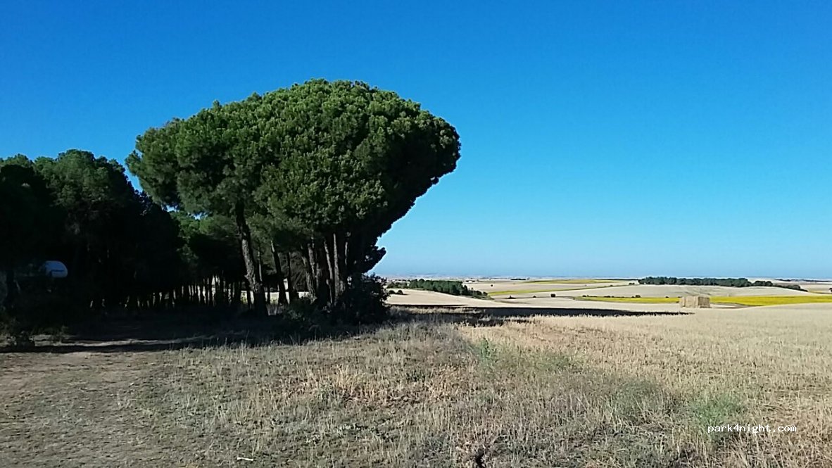 (37429) Aldeanueva de Figueroa - Camino de La Pájara — foto 2