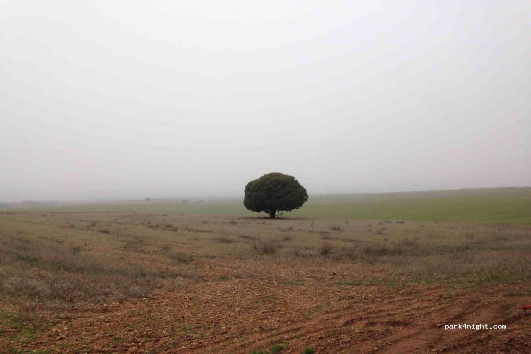 (37429) Aldeanueva de Figueroa - Camino de La Pájara — foto 3