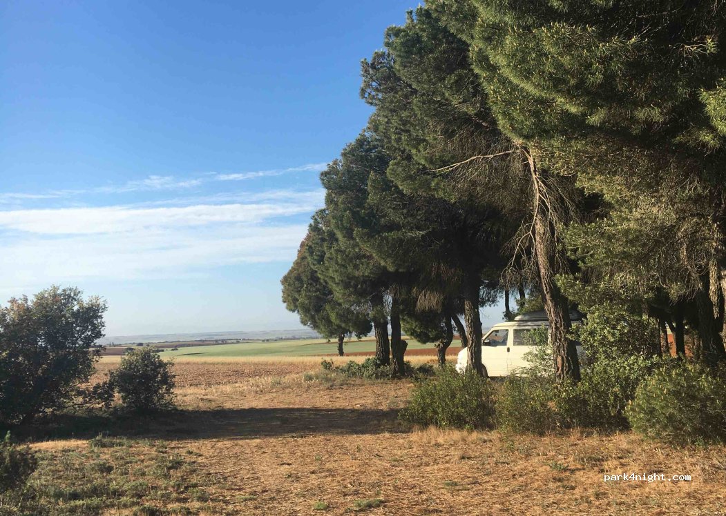 (37429) Aldeanueva de Figueroa - Camino de La Pájara — foto 4