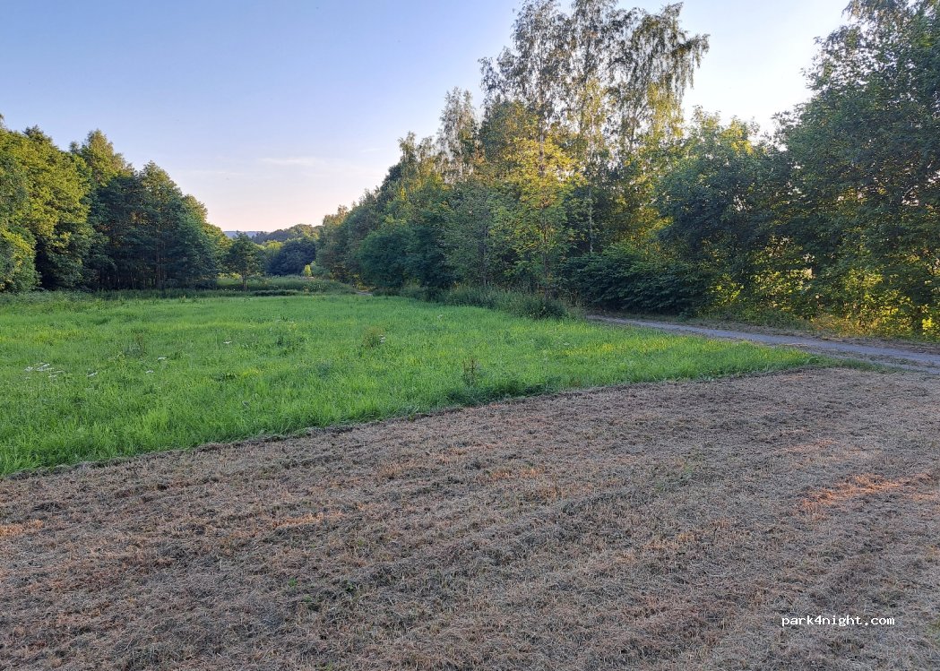 (09518) Großrückerswalde - Unnamed Road — foto 2