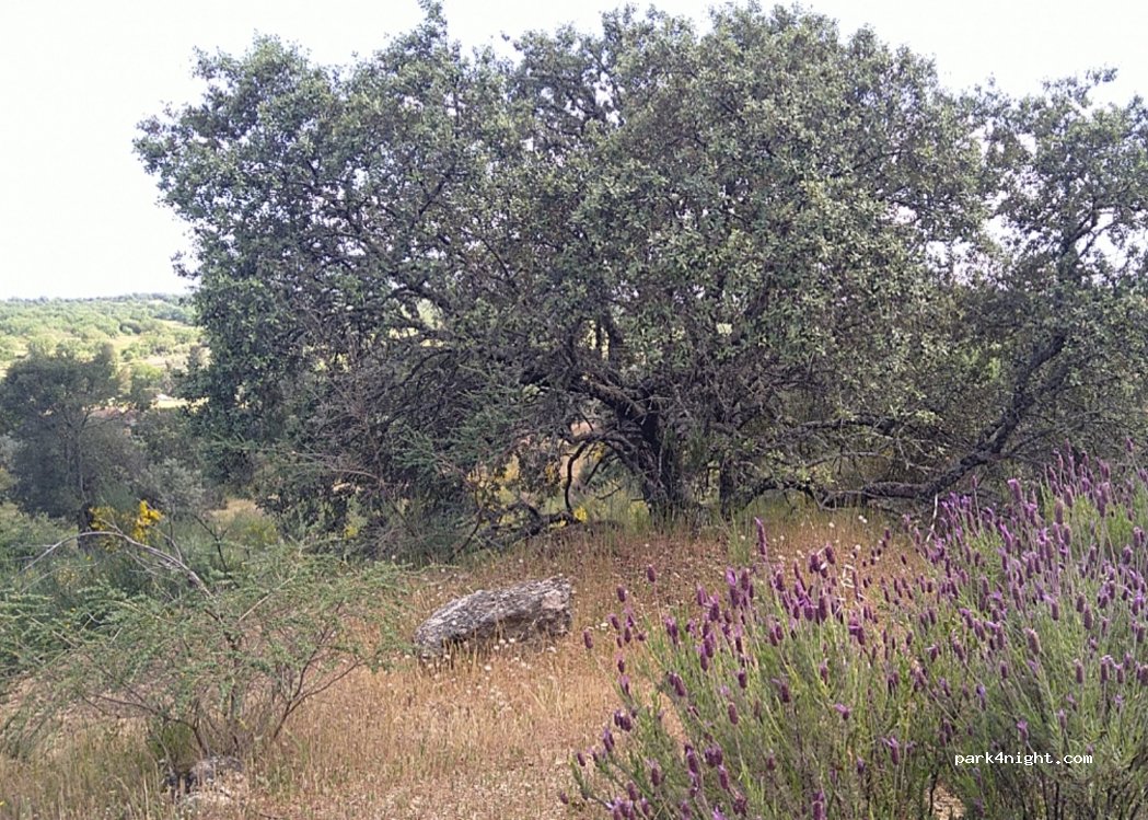 Quinta de Volta a Fonte — foto 2