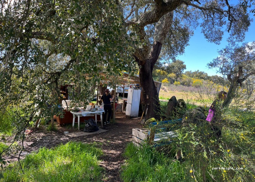 Quinta de Volta a Fonte — foto 4