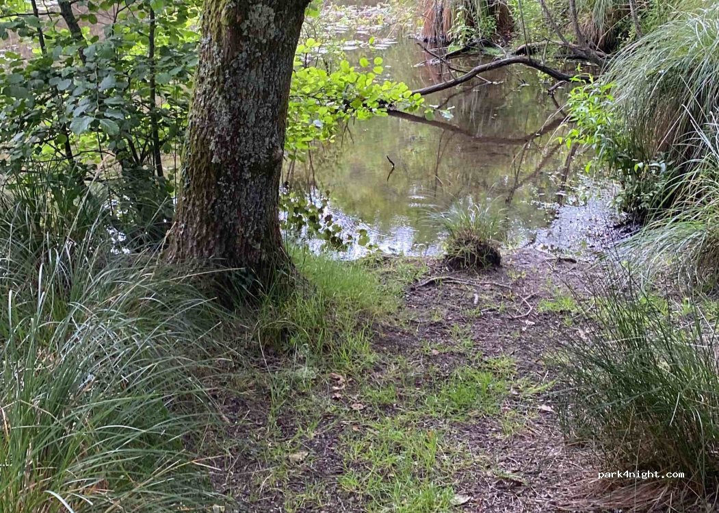 (56390) Brandivy - 5000 Étang de la Forêt — foto 2