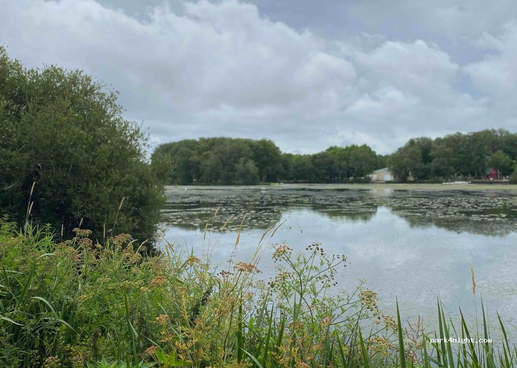 (56390) Brandivy - 5000 Étang de la Forêt — foto 3