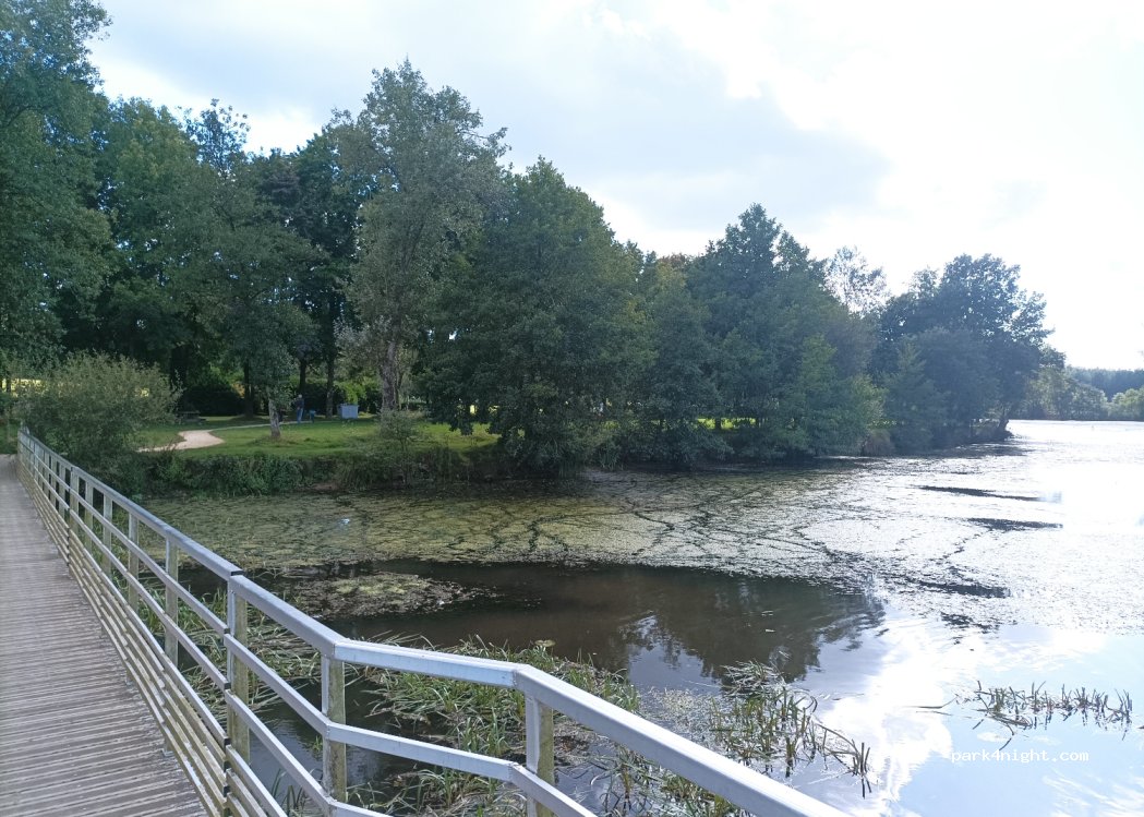 (56390) Brandivy - 5000 Étang de la Forêt — foto 4