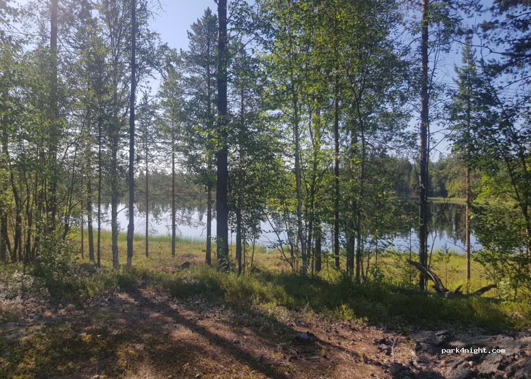 (921 92) Lycksele - Unnamed Road — foto 3