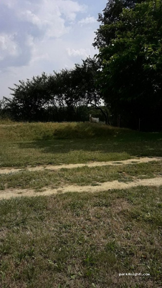 Camping du Bois Madame — foto 2