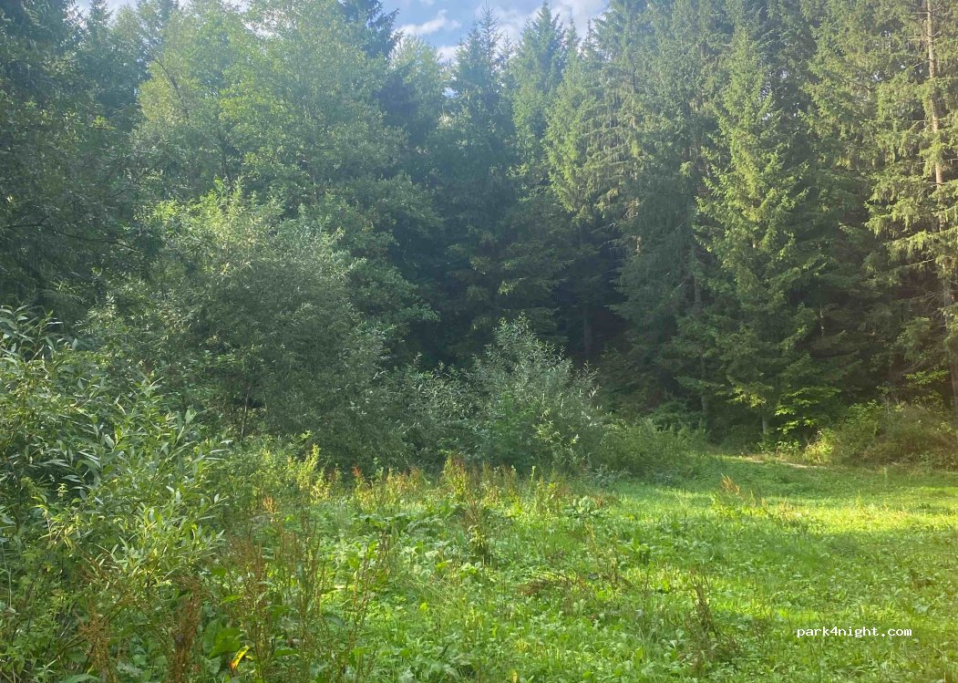 (3532) Rastenfeld - Rastenfeld — foto 3