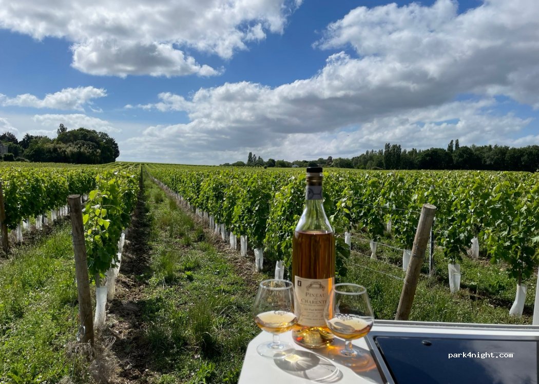 Le Logis de Folle Blanche — foto 2