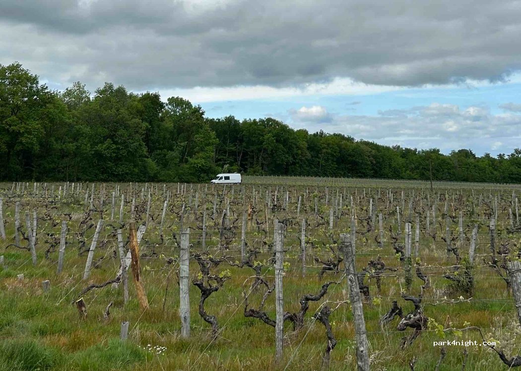 Le Logis de Folle Blanche — foto 5