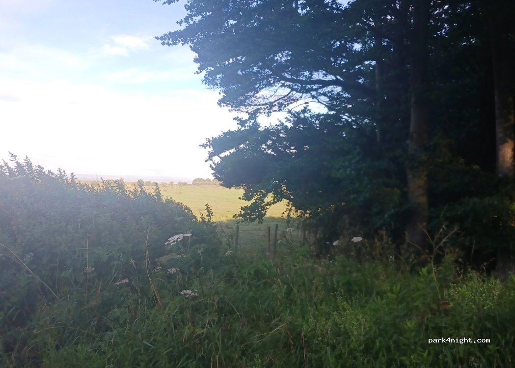 (NE46 4NF) Corbridge - — foto