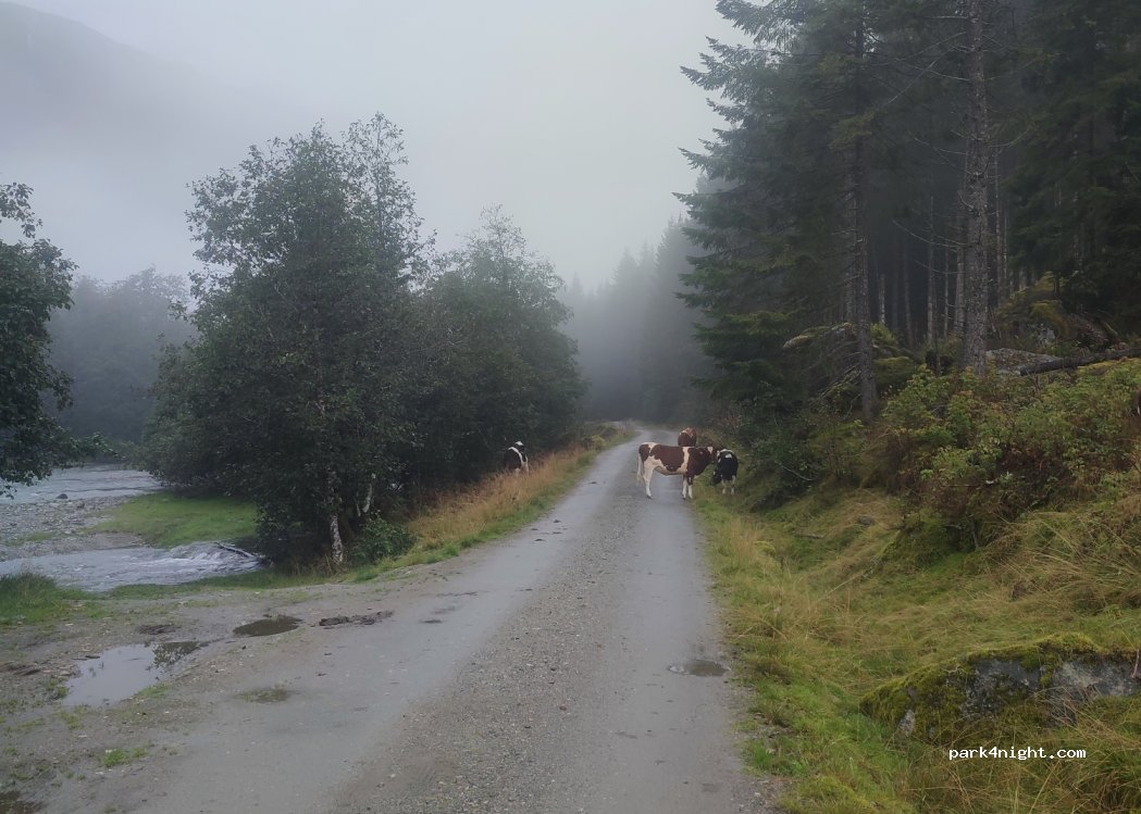 (6848) Fjærland - Unnamed Road — foto 3