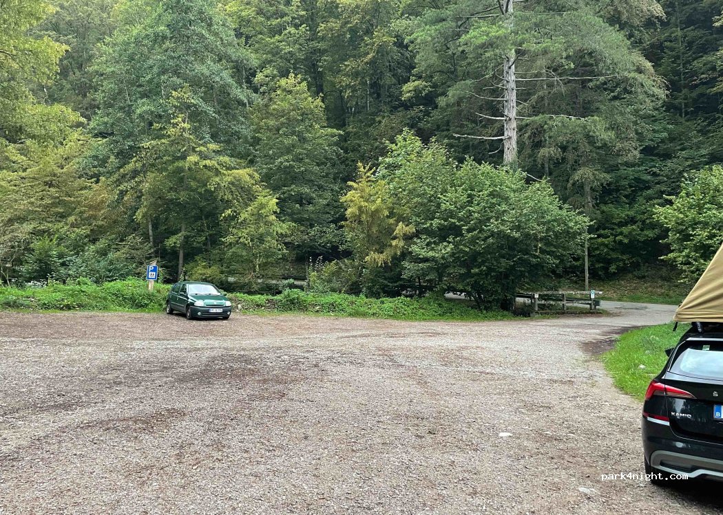 (79117) Freiburg im Breisgau - — foto