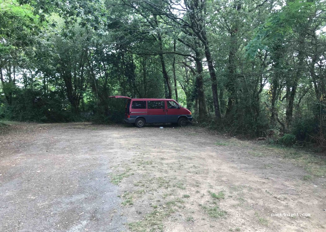 (85220) La Chapelle-Hermier - 8 Château Long — foto