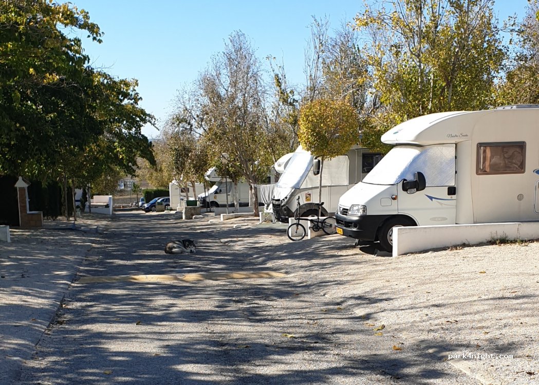 Camping La Rosaleda — foto 3